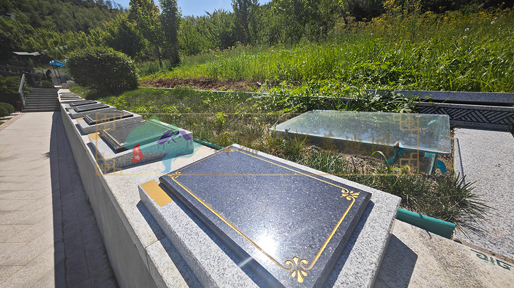 长春家族墓的文化意义与现实价值:家族传承、集中祭扫与长期维护的优势分析