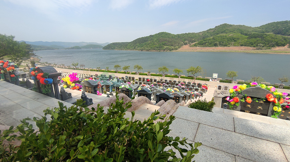 沈阳家族墓地的文化价值与管理规范:传承家族情感的庄重空间