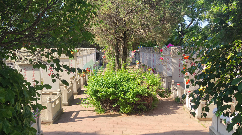 天津家族陵园有哪些优势?传承家风与集中安葬的价值分析