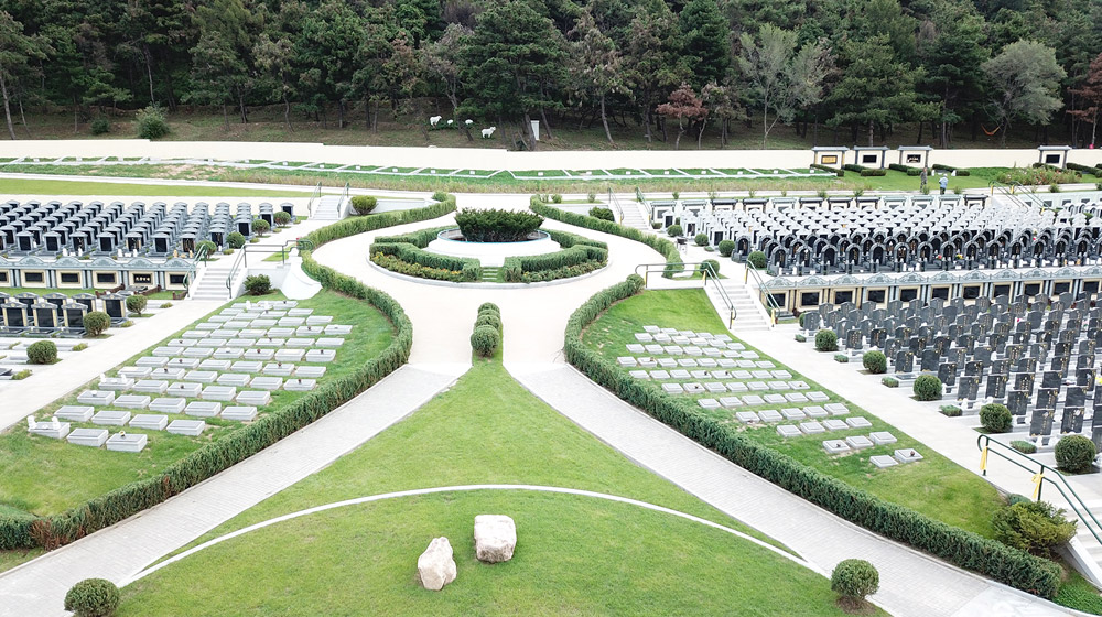 家族墓葬的常见排列方式